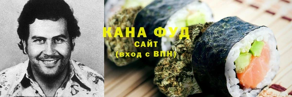 мдпв Дмитриев
