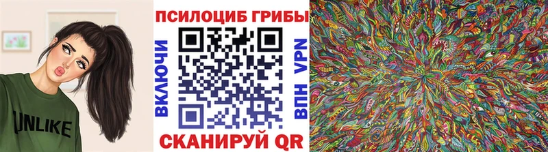 Псилоцибиновые грибы GOLDEN TEACHER  Купить закладки  Нурлат 